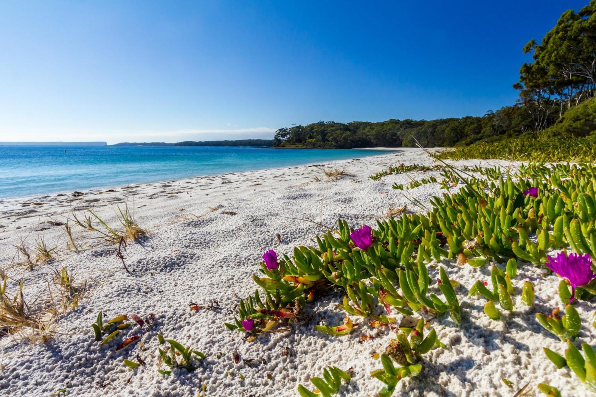 허스키슨 Bay And Bush Jervis Bay 빌라 외부 사진